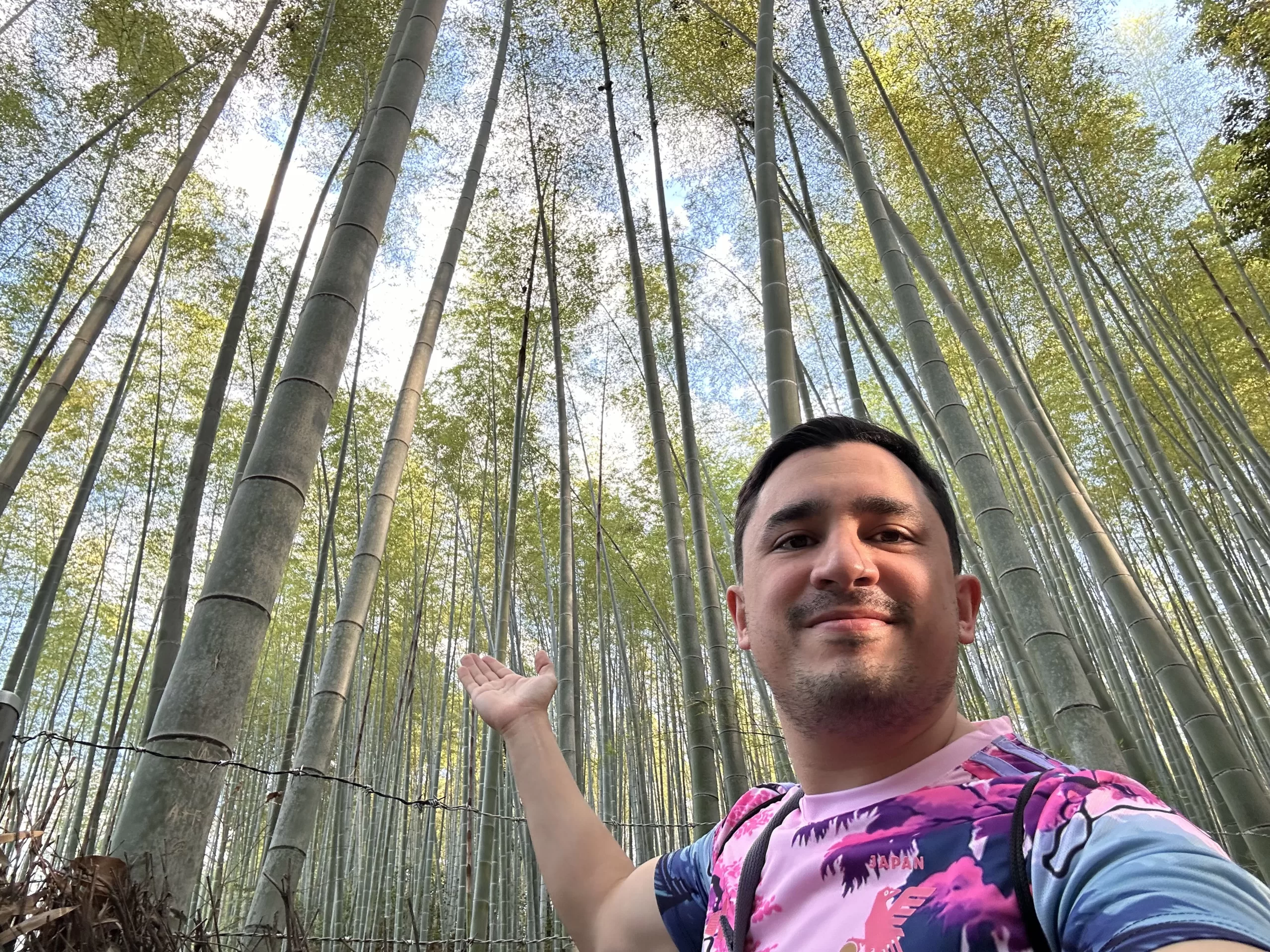 Bosque de Bambú de Arashiyama en Kioto