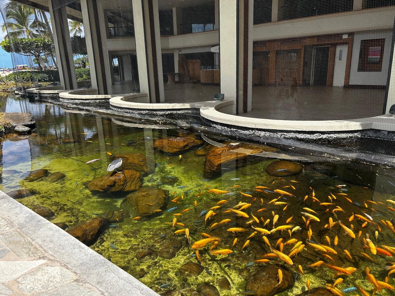 Qué ver en Honolulu: Guía Completa de Aventura y Cultura