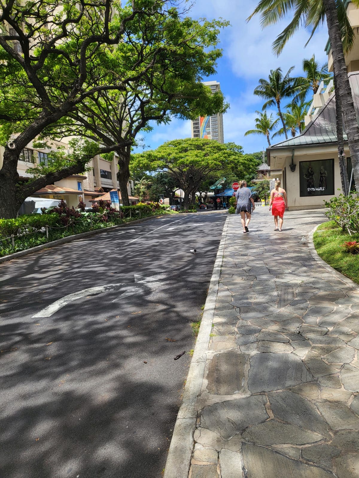 Visitar a pie la ciudad de Honolulu