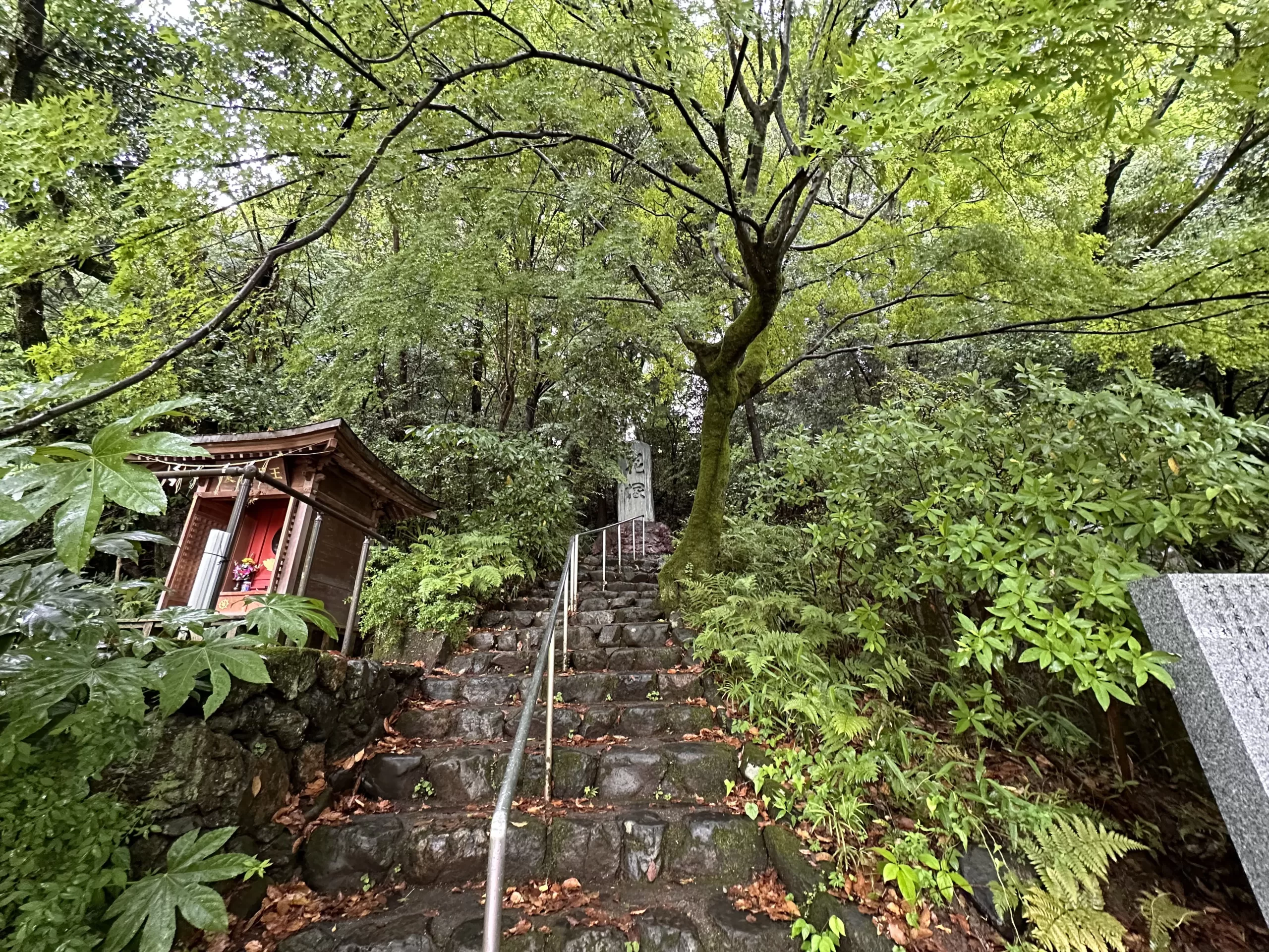 Mejor Época para Visitar Kioto
