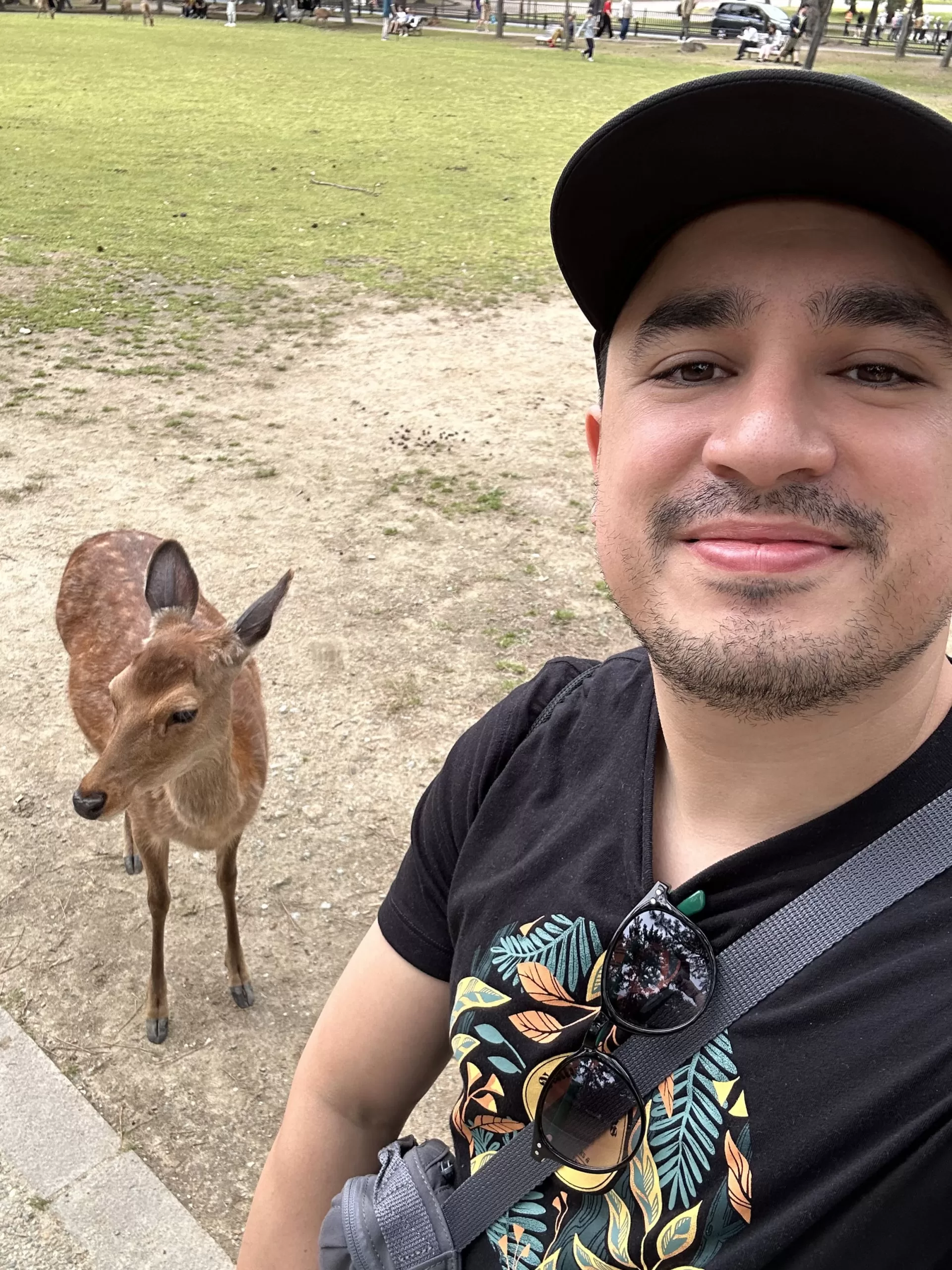 Foto con los ciervos de Nara