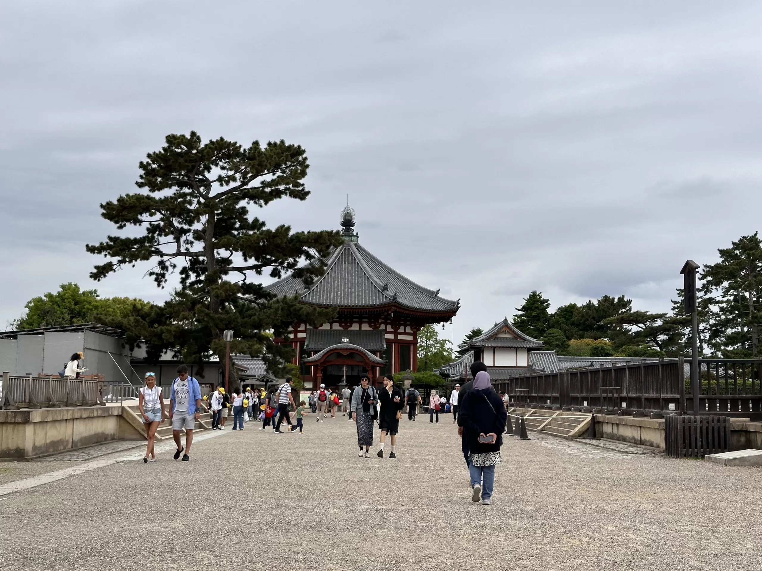 Pasear por los templos de Nara