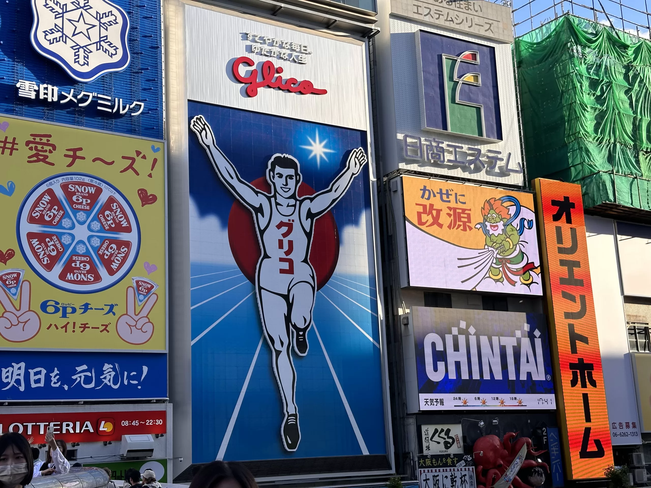 Dotonbori: The Beating Heart of Osaka