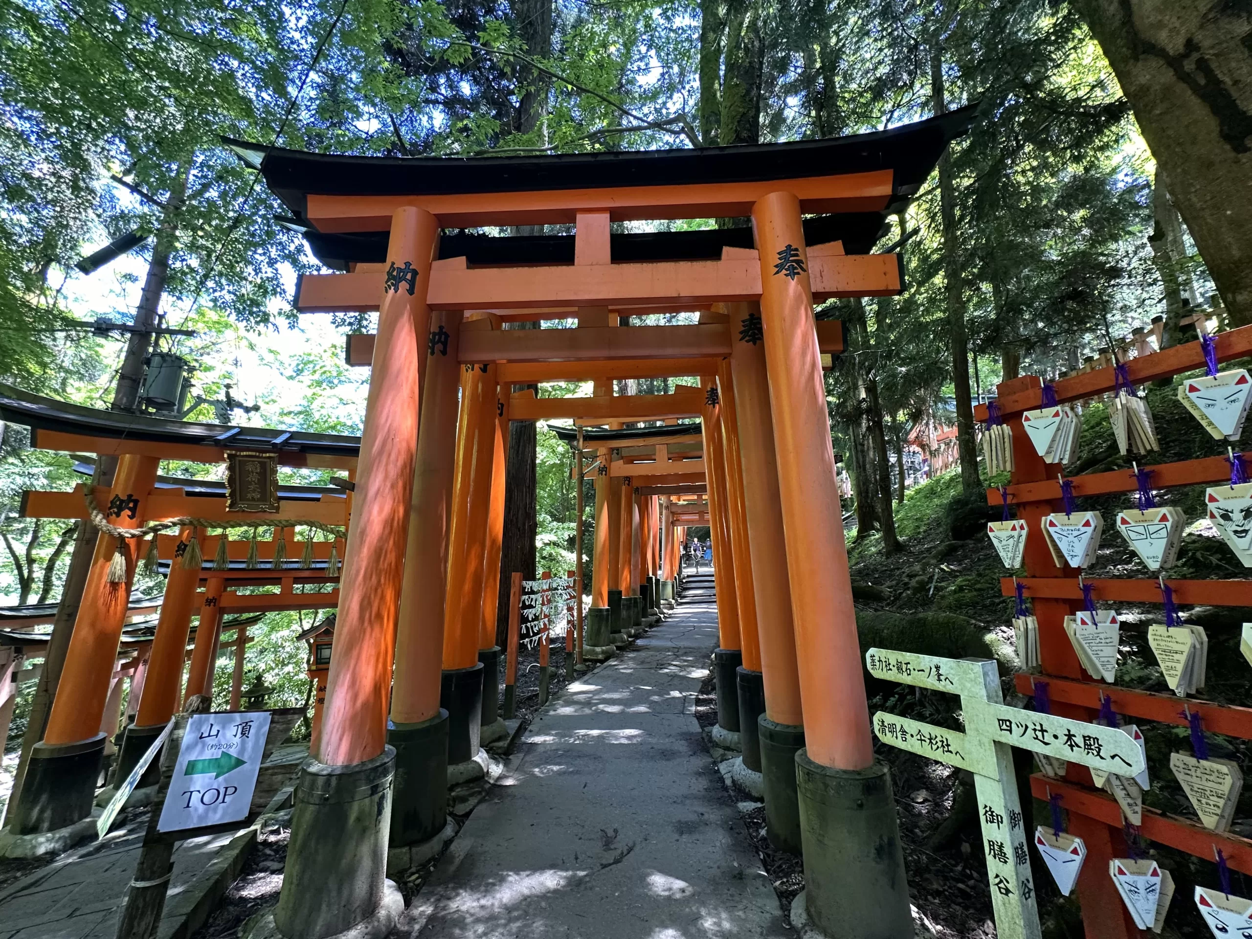Importancia Cultural y Espiritual de este santuario en Japón