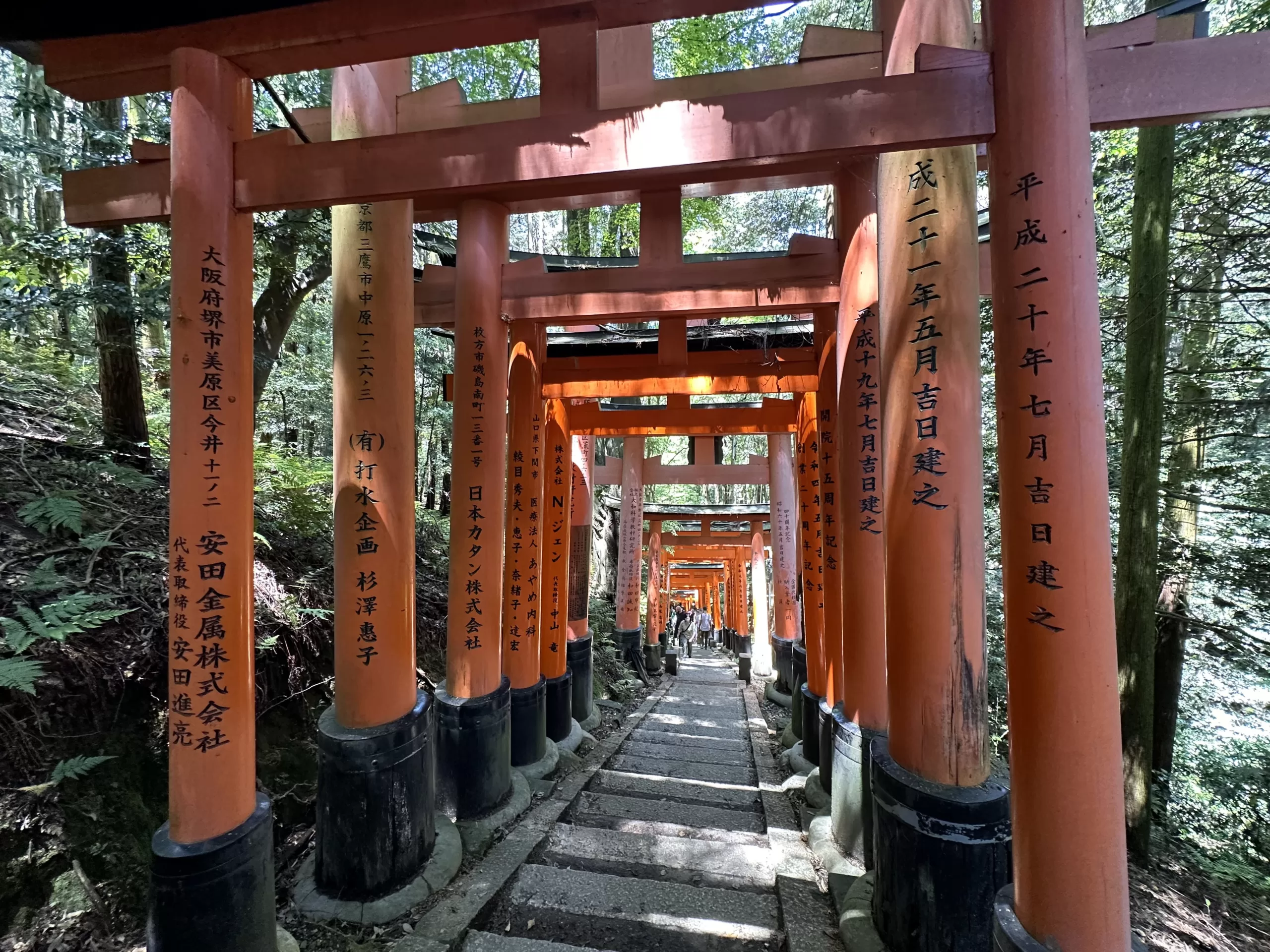 El Sendero de los Mil Torii