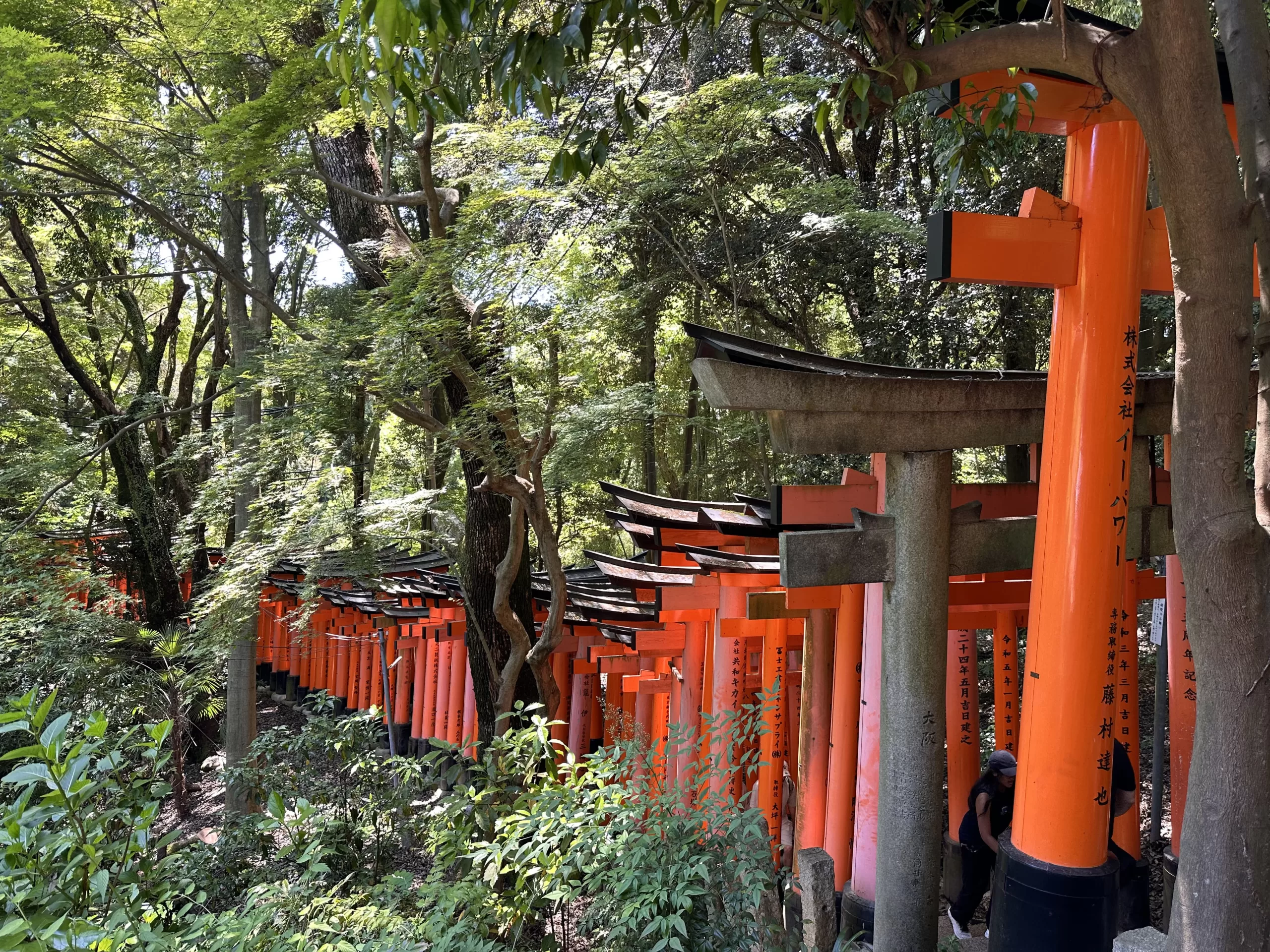 Historia y Significado del Santuario de Fushimi Inari Taisha