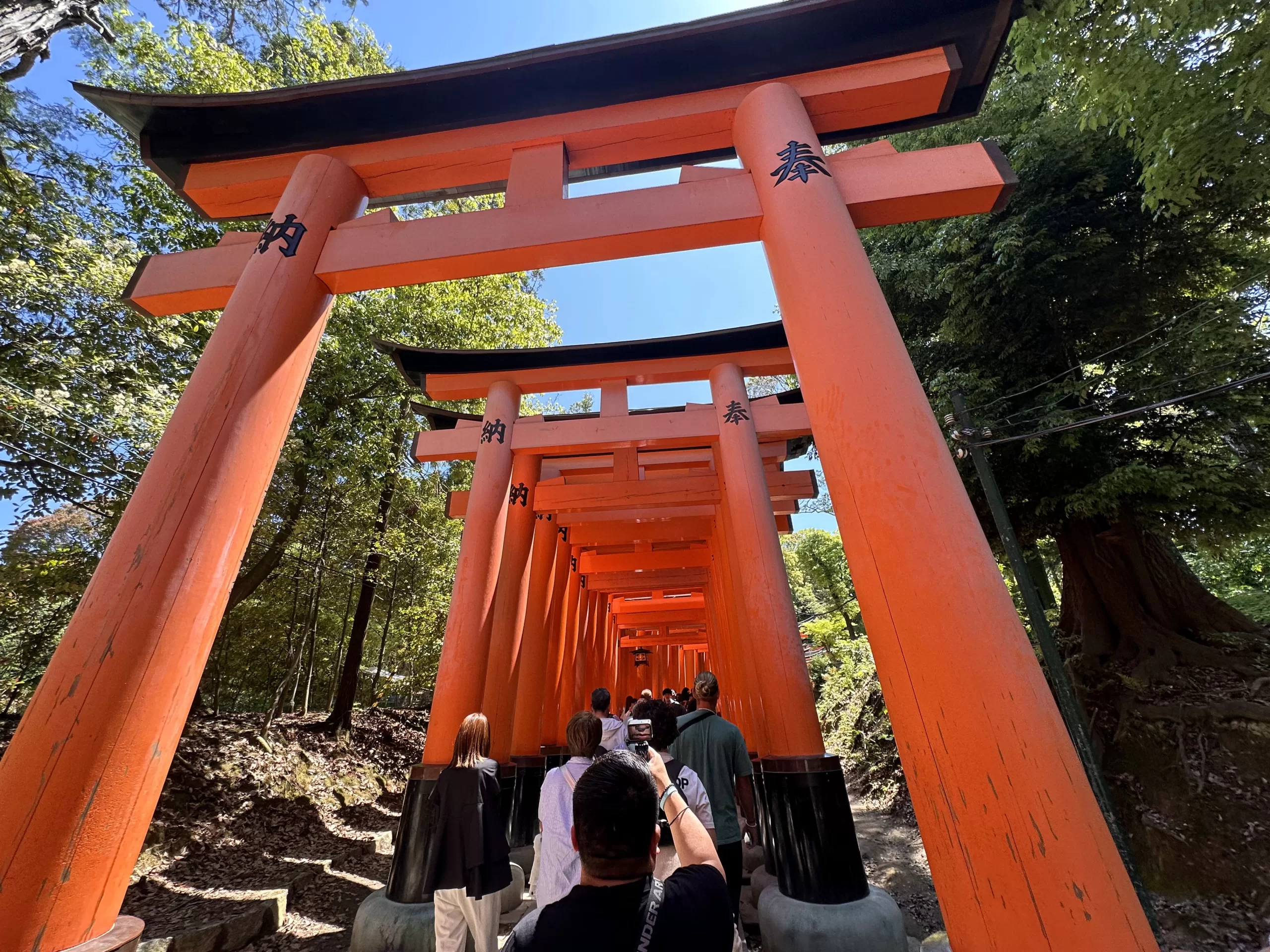 Visitar Fushimi Inari Taisha en Kioto