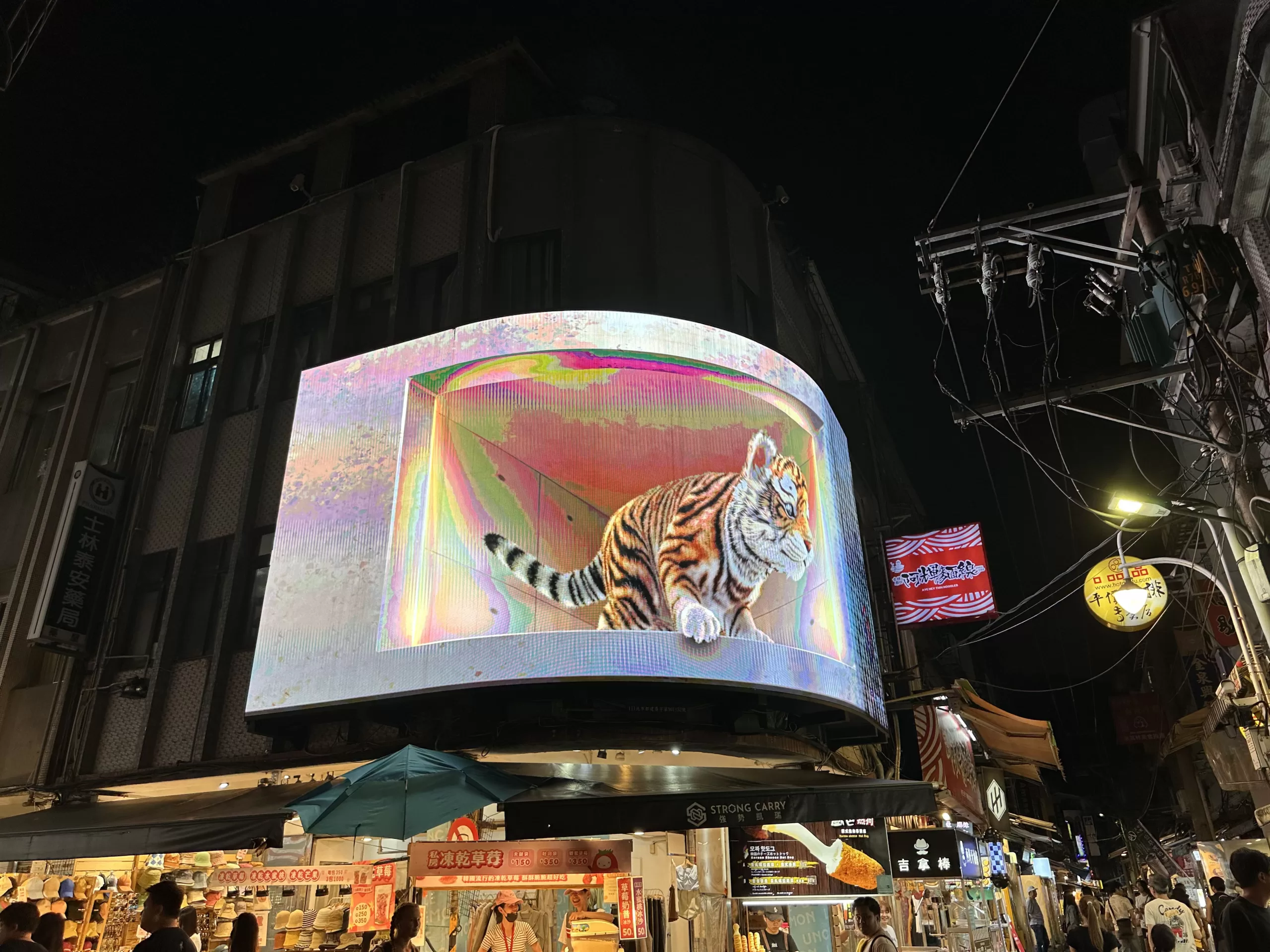 Gigant cat in Shilin - Places to Visit in Taipei