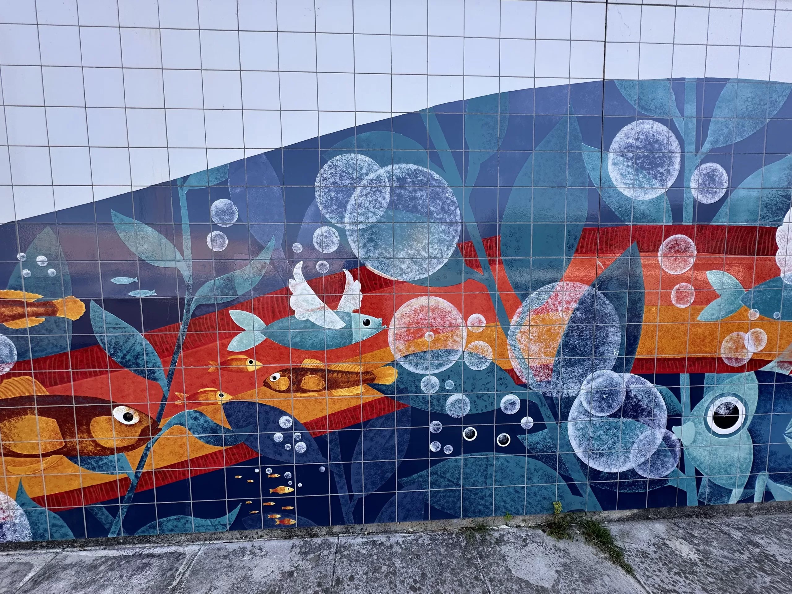 Disfrutando el arte por las calles