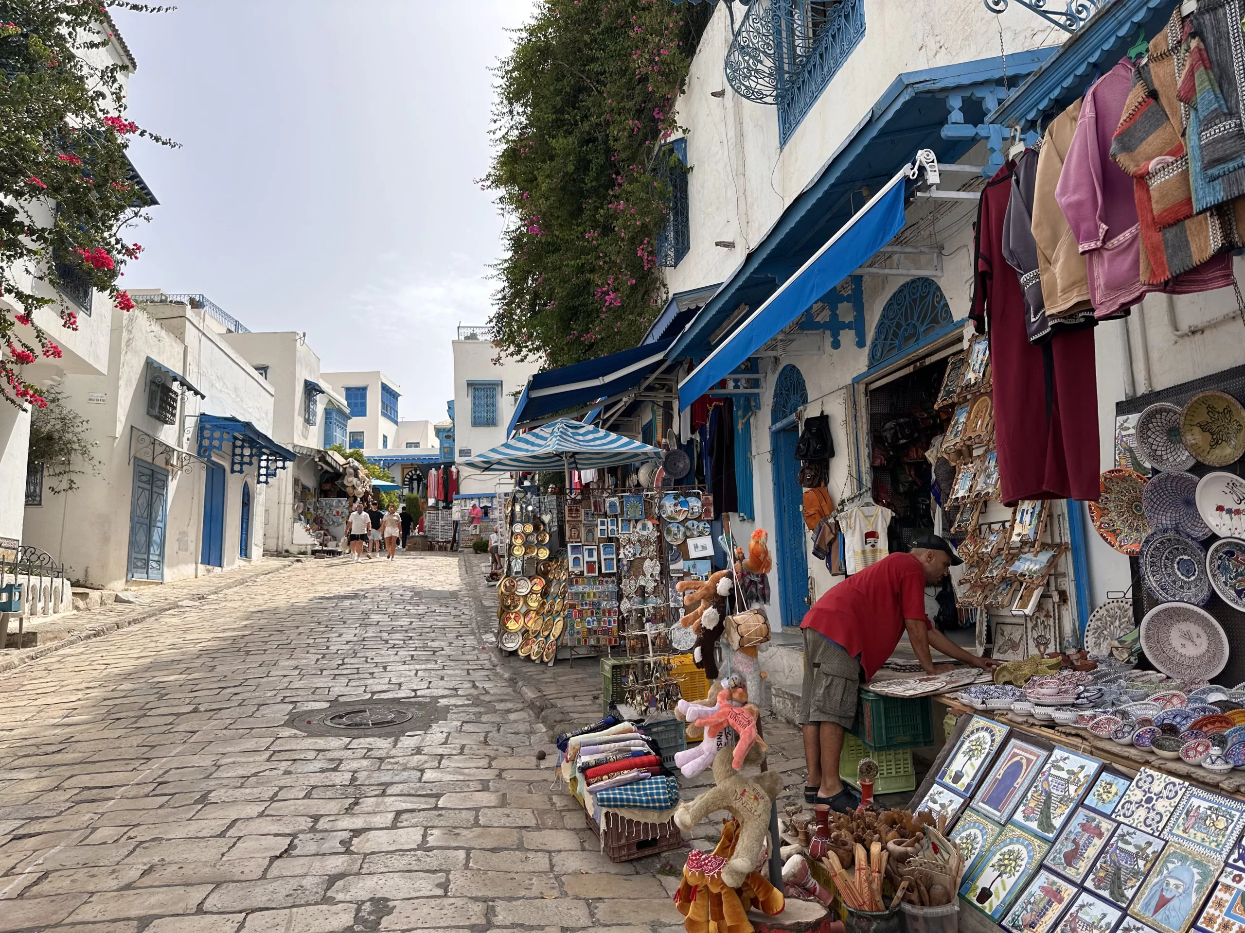 Calle Rue Habib Thameur