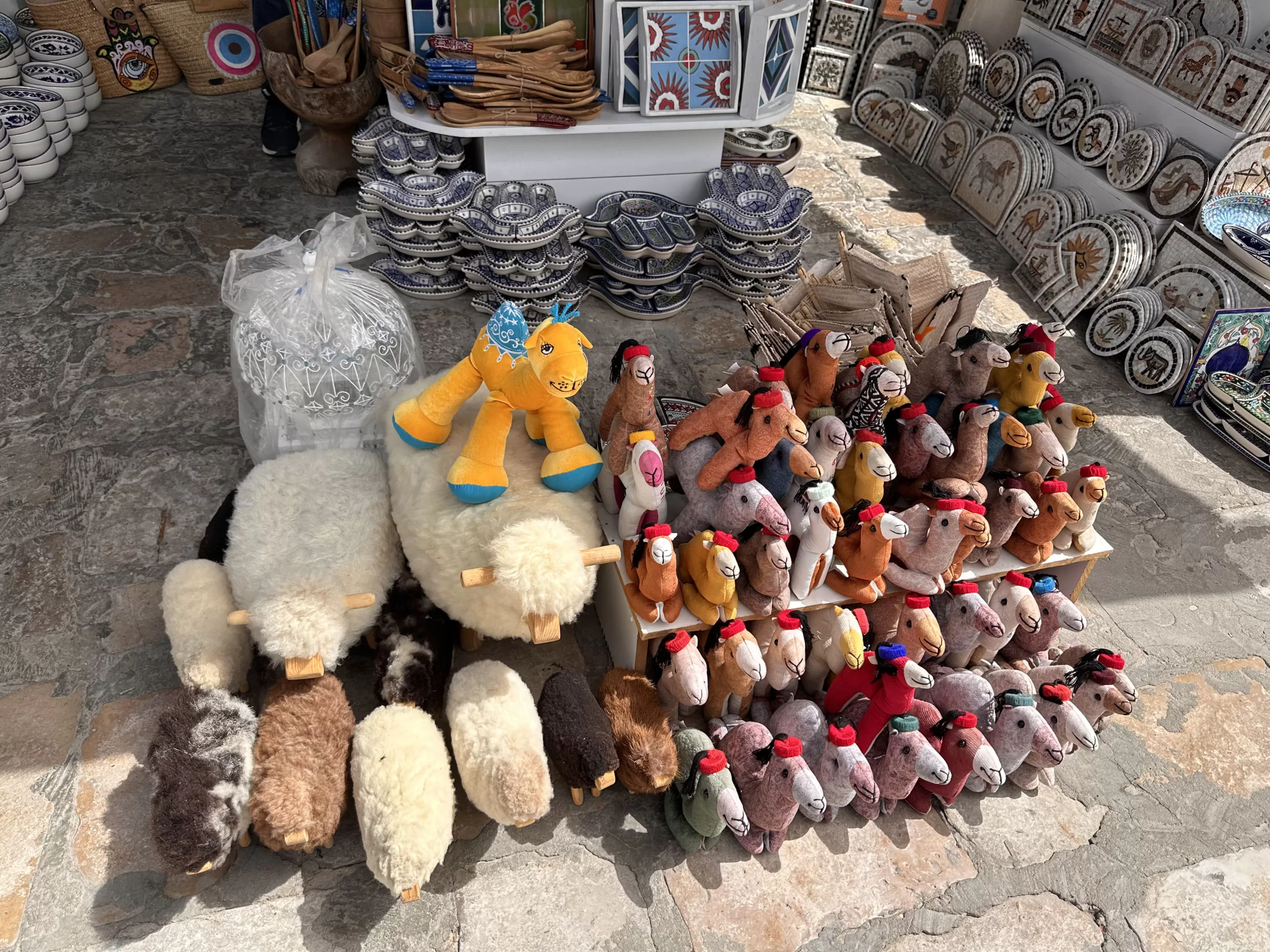 Mercados Locales en Sidi Bou Said