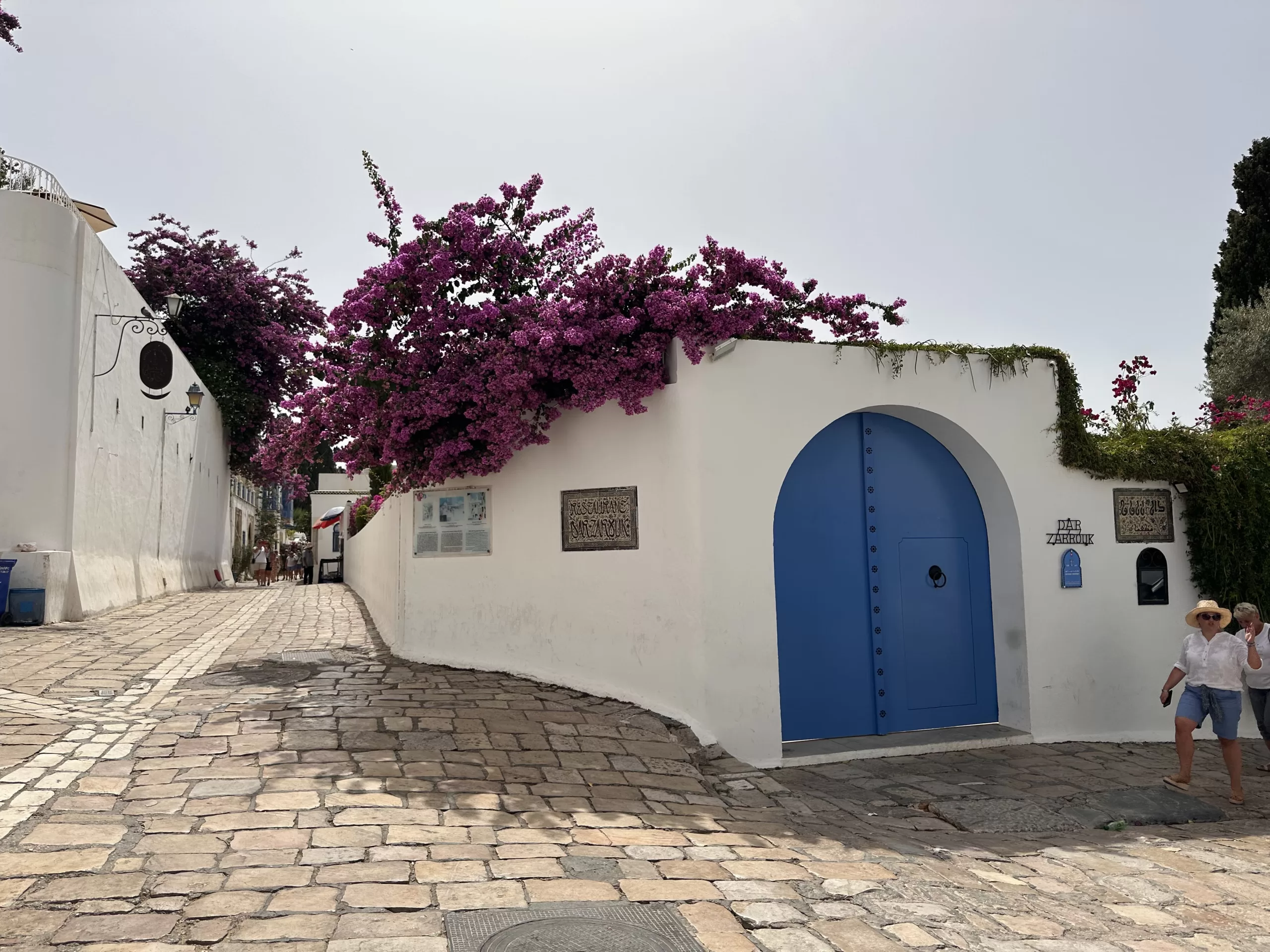 Lugares que ver en Sidi Bou Said: El Pueblo más bonito de Túnez