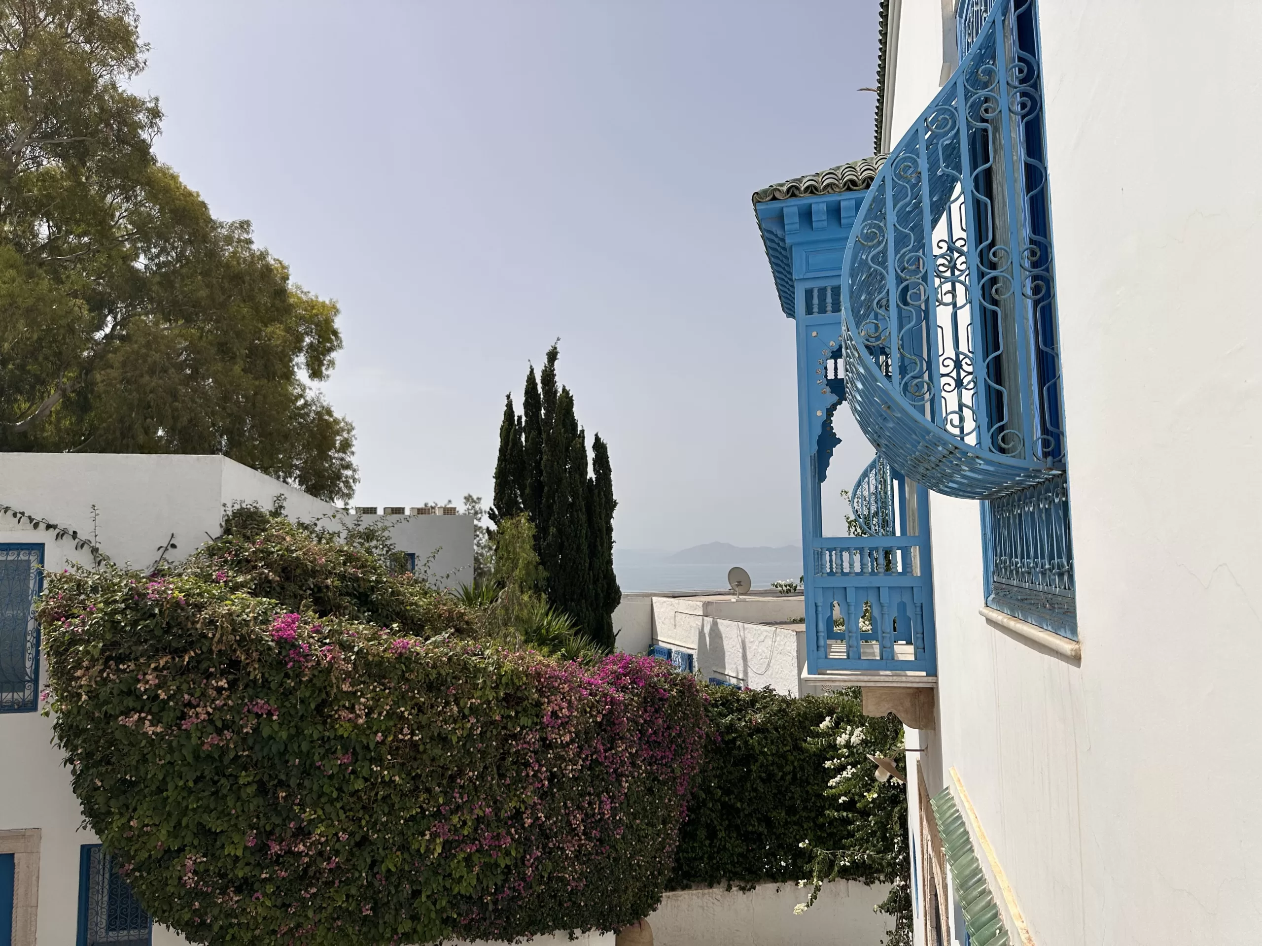 Visitando Sidi Bou Said en túnez