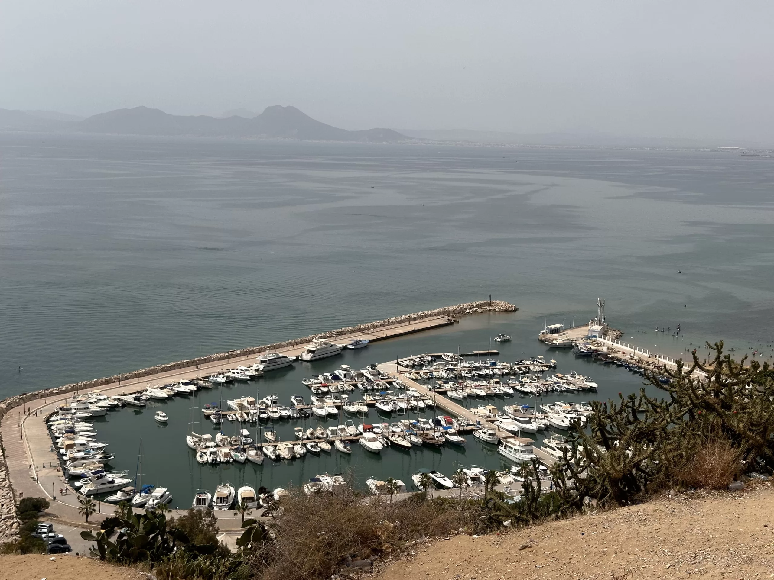 Puerto de Sidi Bou Said