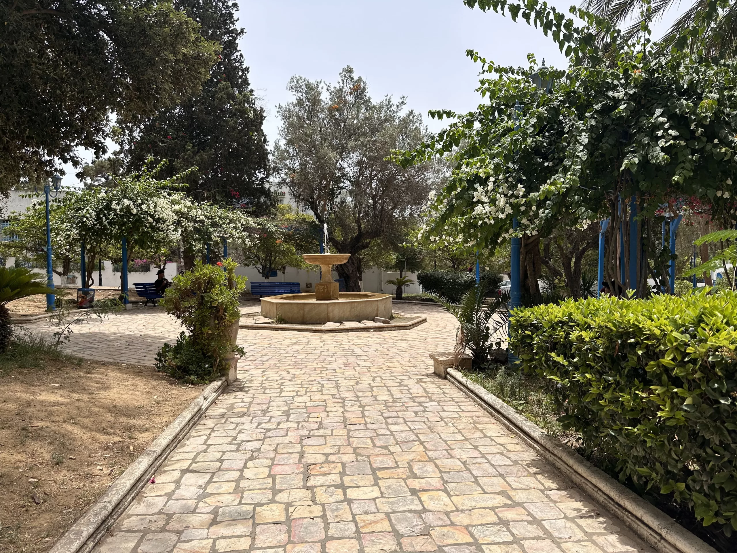 Fuente en Sidi Bou Said