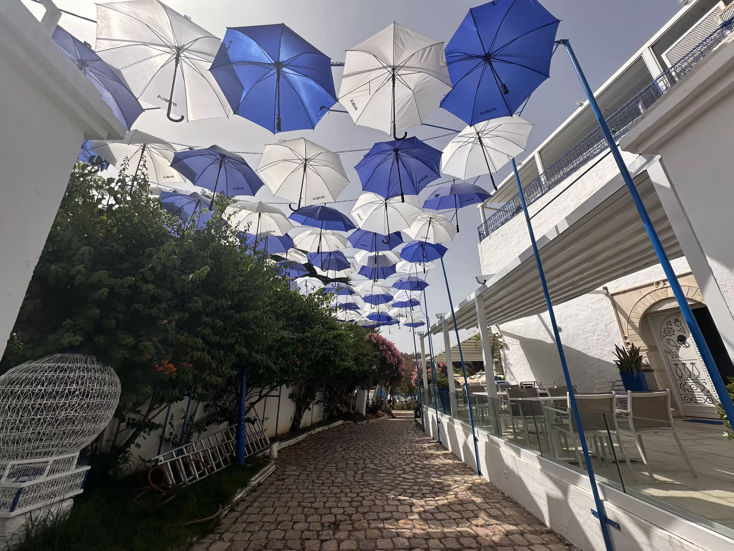 Paseando por el pueblo más bonito de Túnez