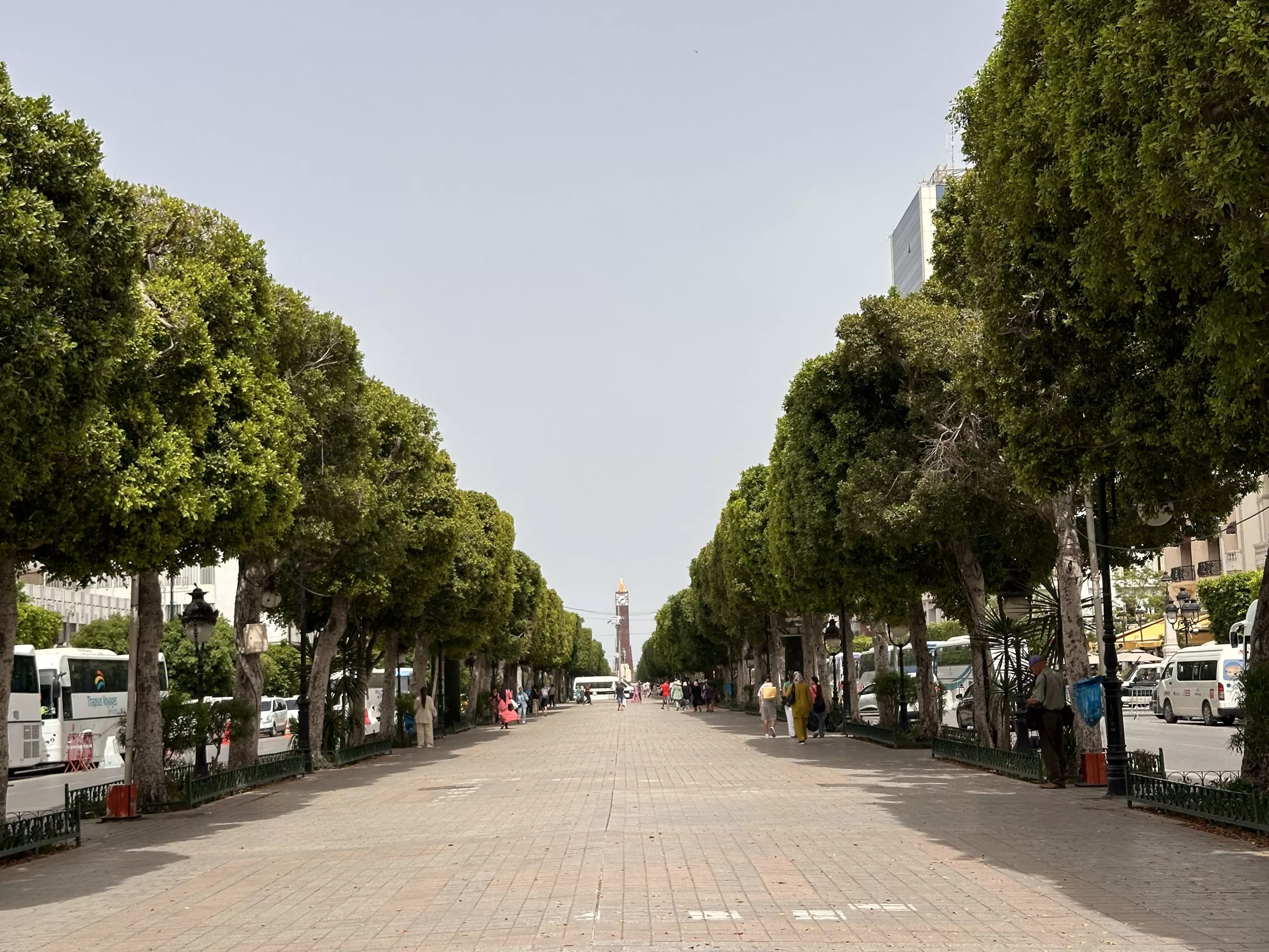 Avenida Habib Bourguiba en Túnez - 20 Lugares turísticos en Túnez