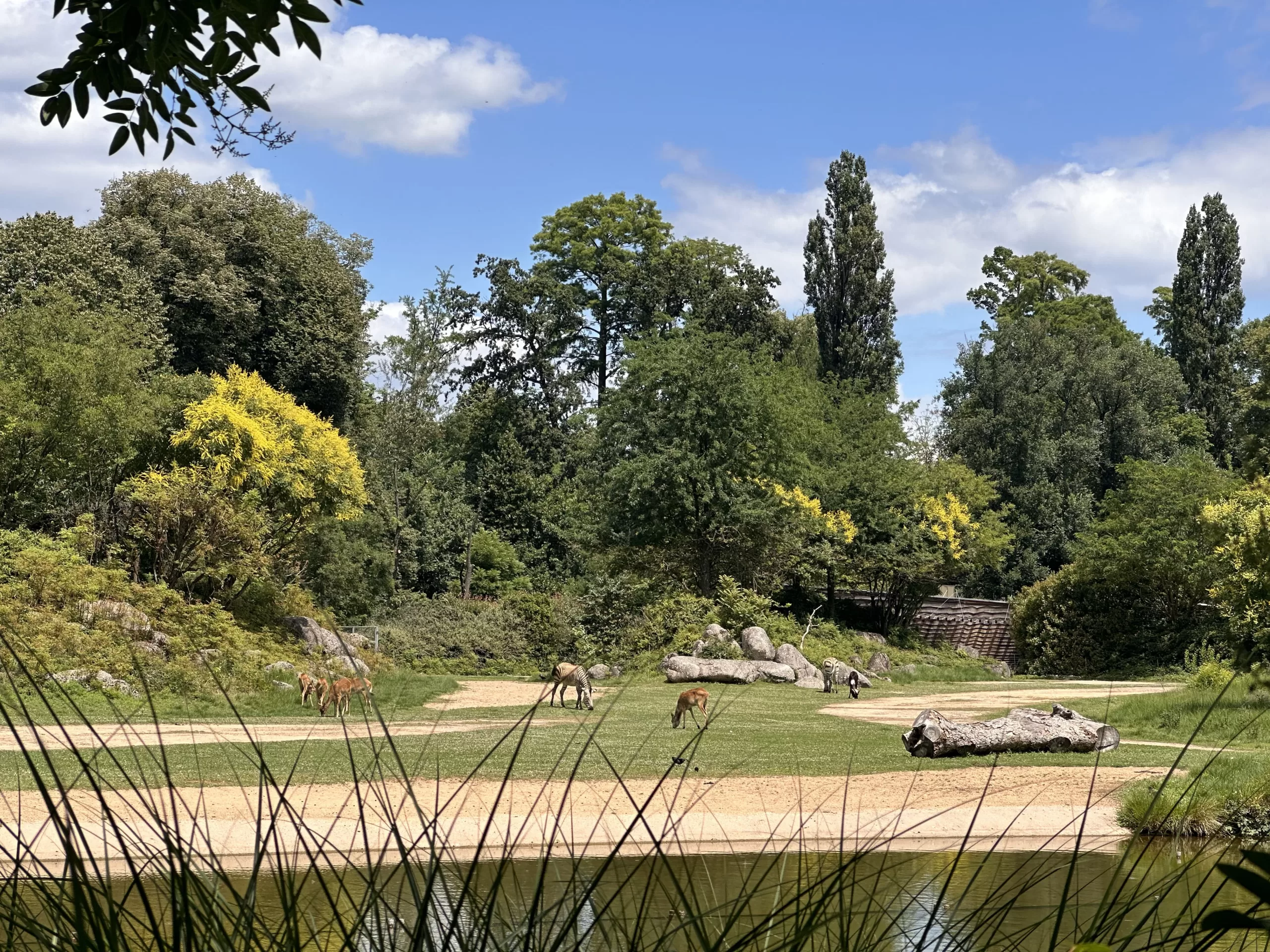 Zoológico dentro del Parque