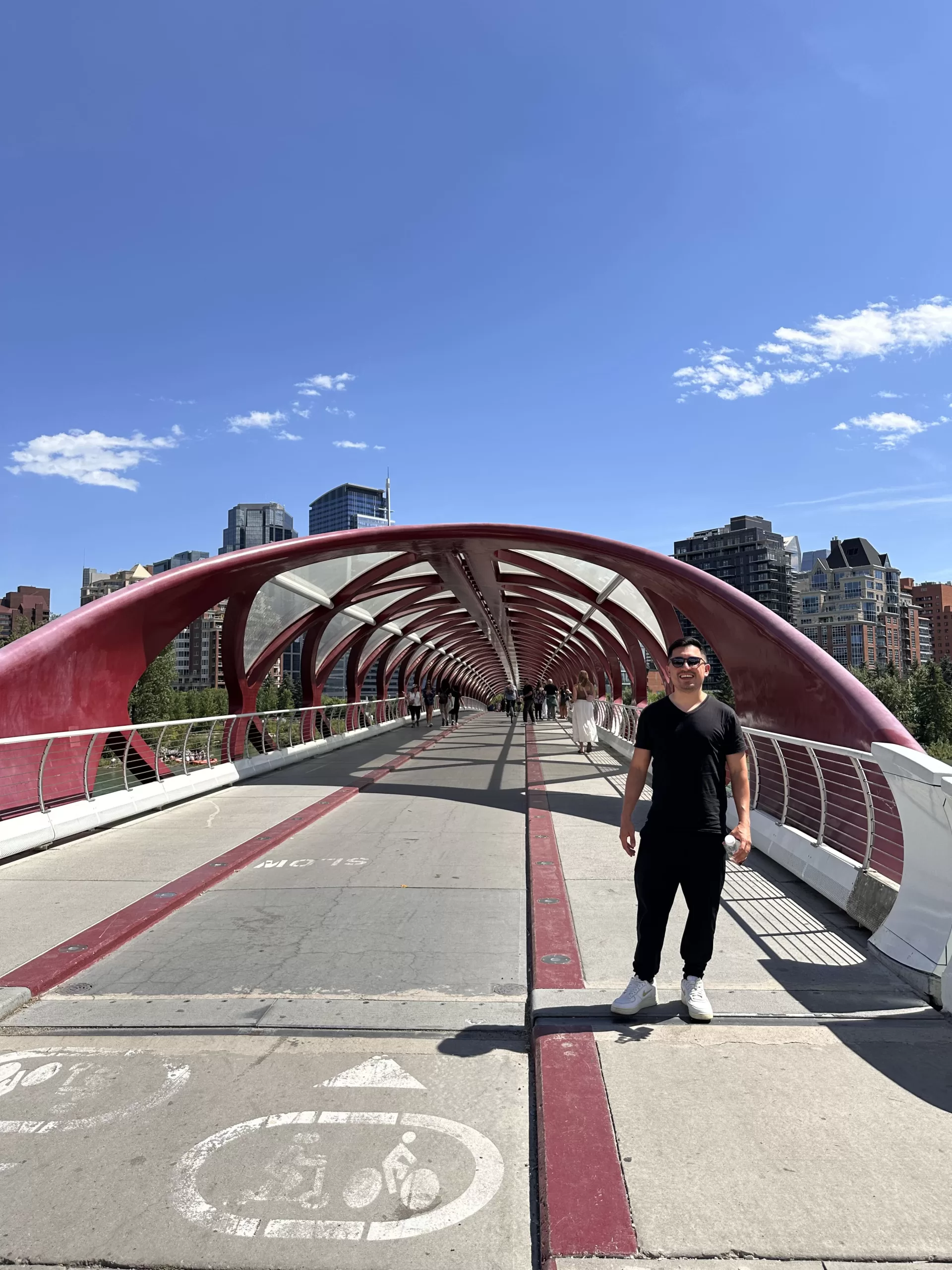 Peace Bridge Calgary