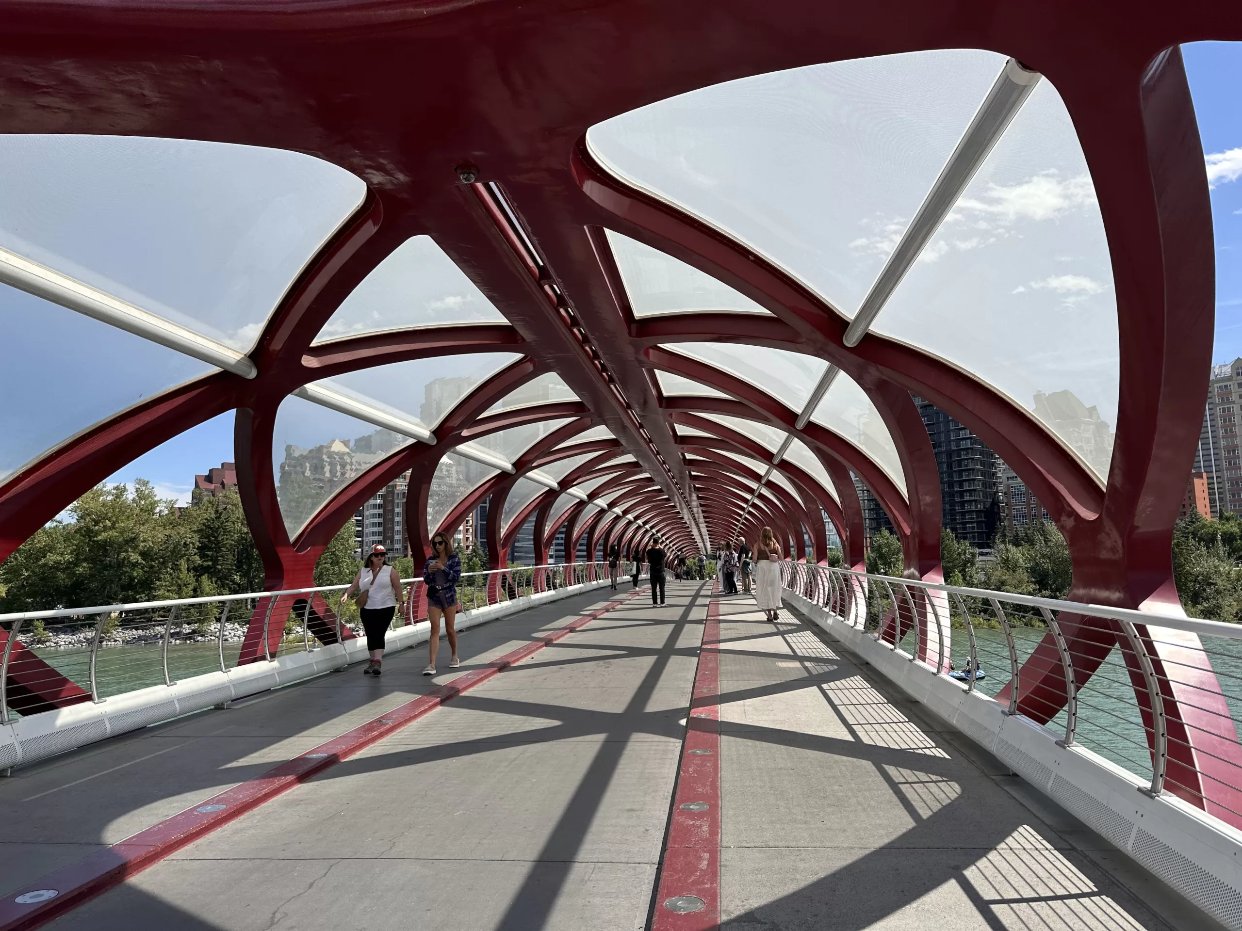 Cruzando el Puente de la Paz (Peace Bridge)