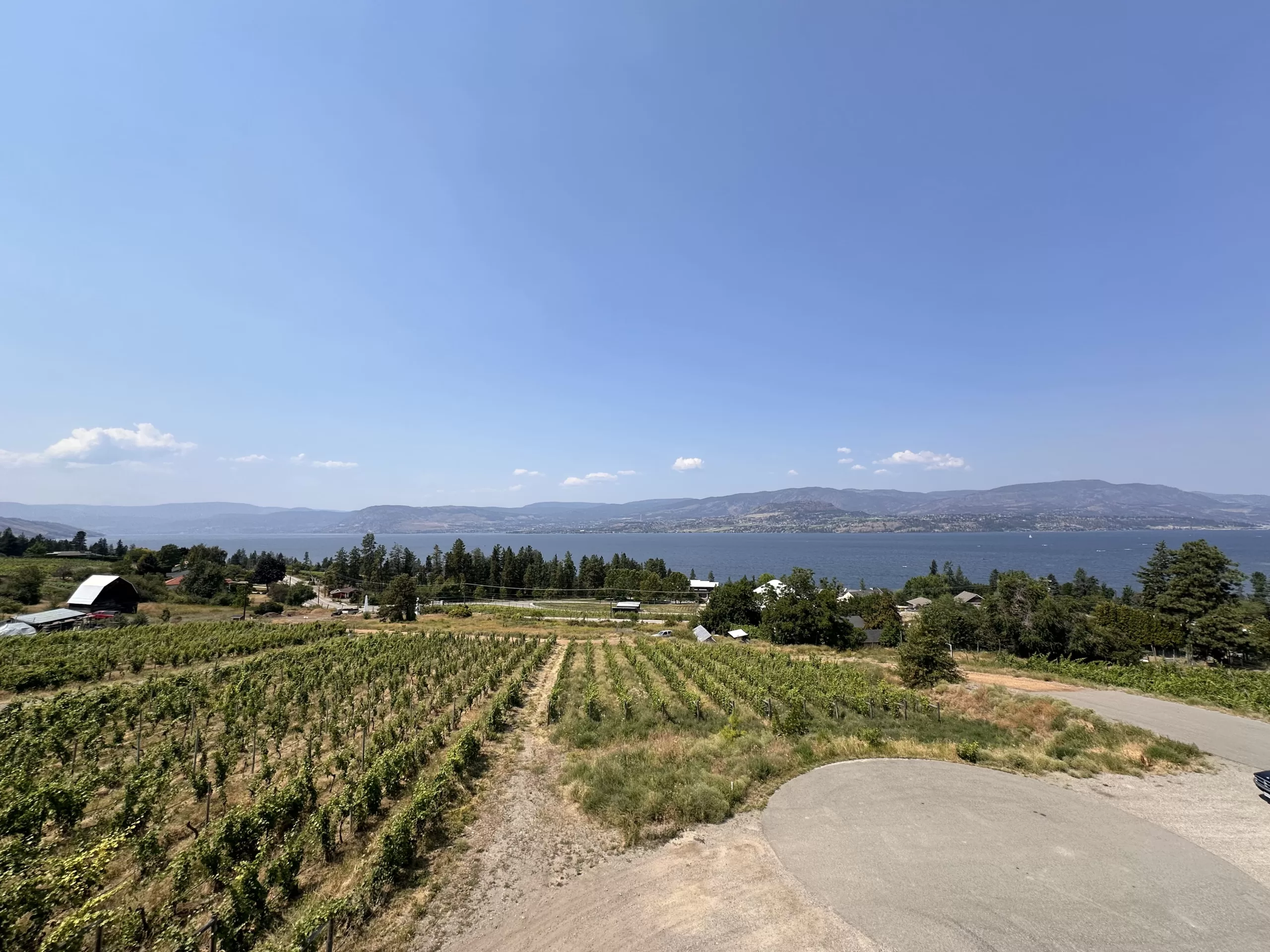 Los Viñedos de Kelowna: Un Paraíso para los Amantes del Vino
