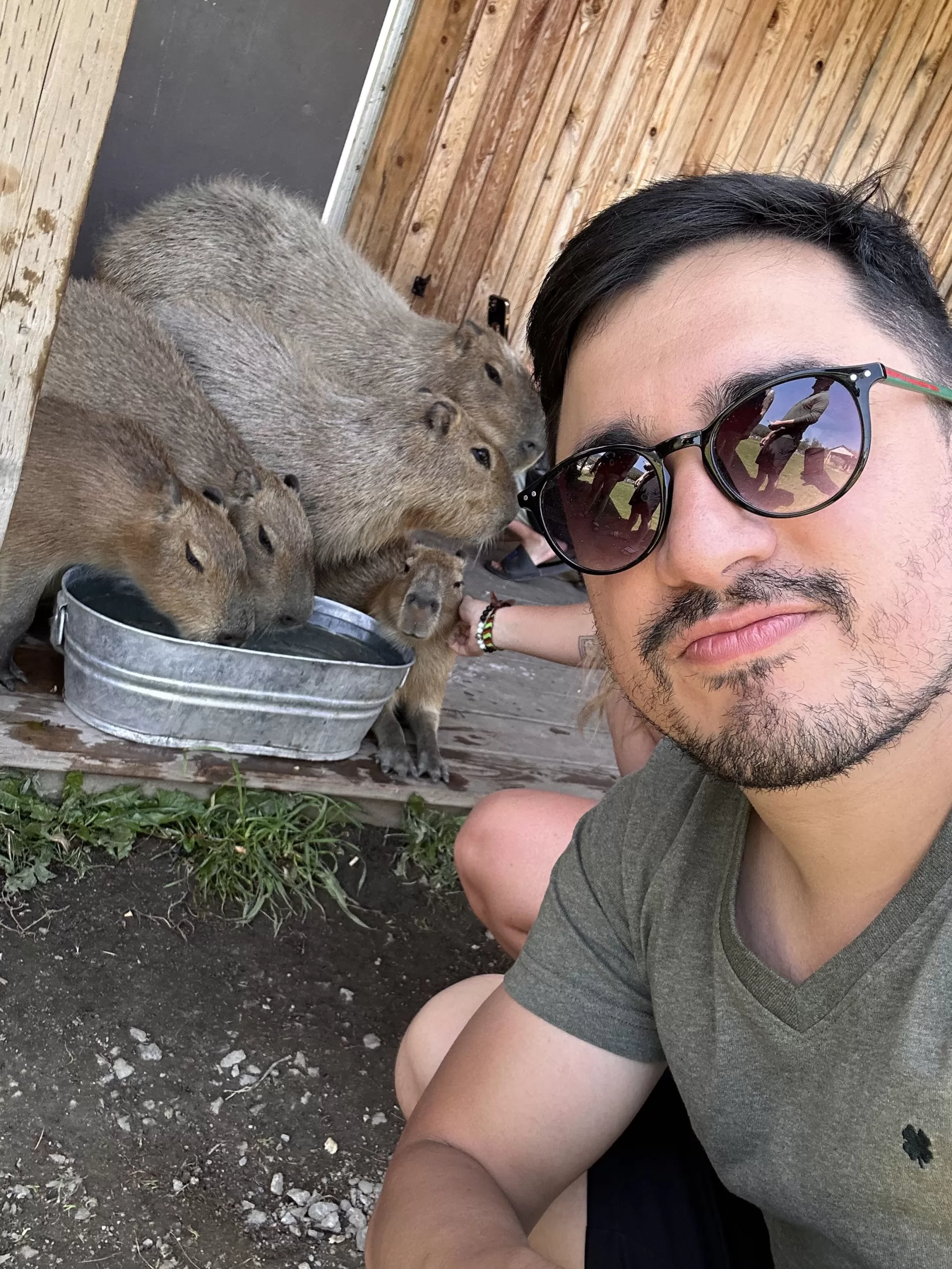 Foto con capibaras en Kelowna