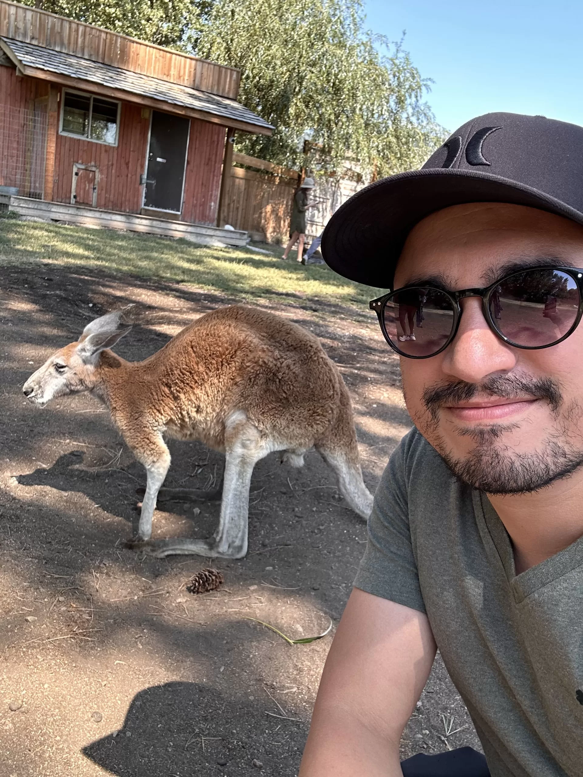 Foto con un wallabie