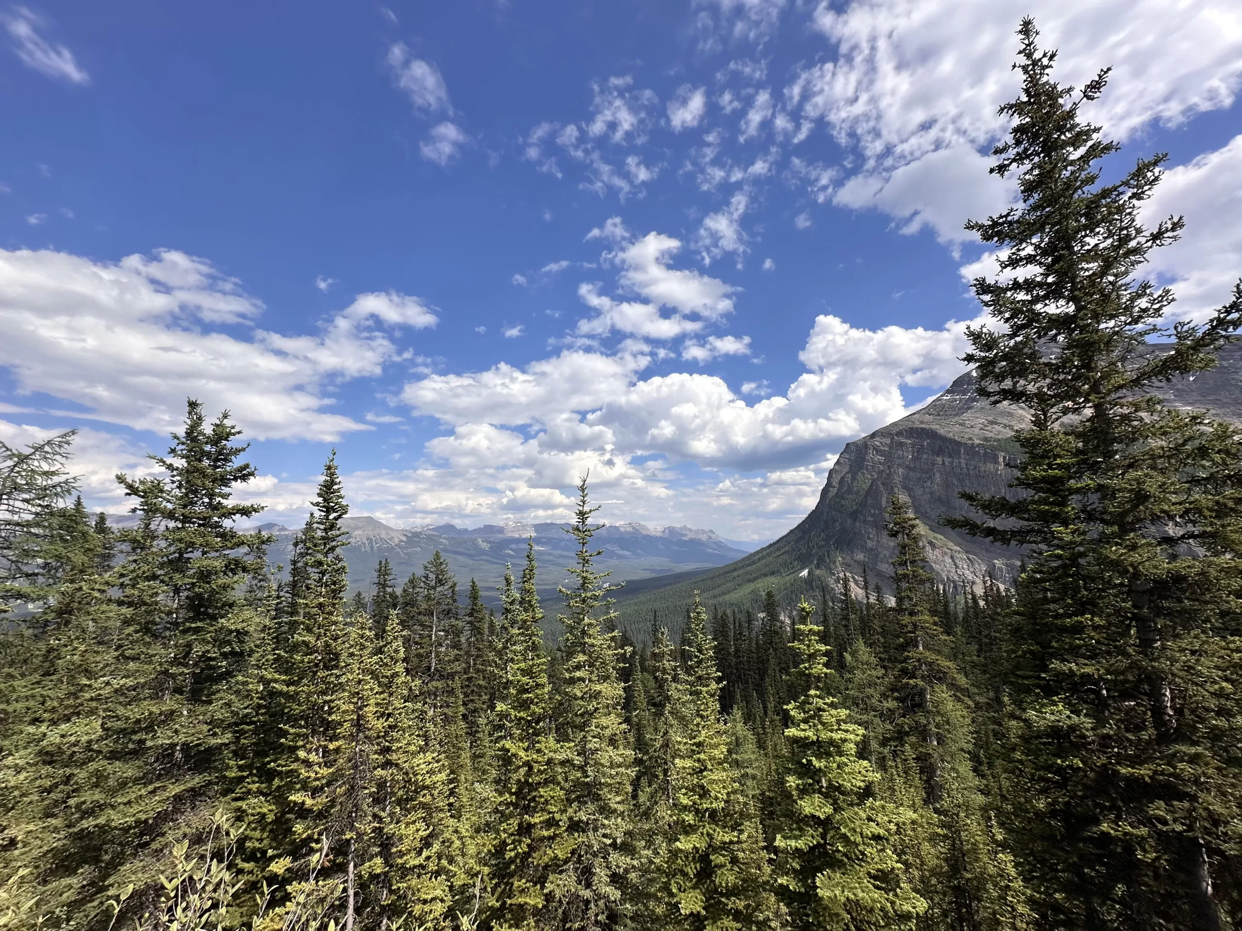 Conclusión: El Lago Louise, un Destino Imperdible en Canadá